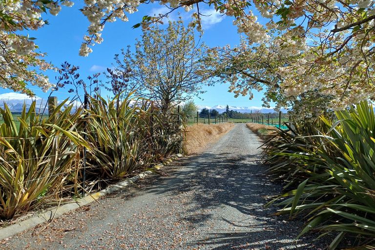 Photo of property in 181 Nixons Road, Fairlie, 7987