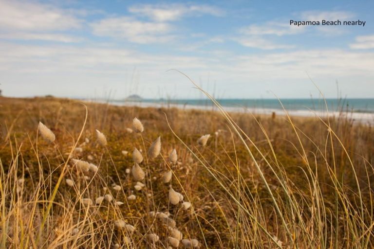 Photo of property in 283 Dickson Road, Papamoa Beach, Papamoa, 3118