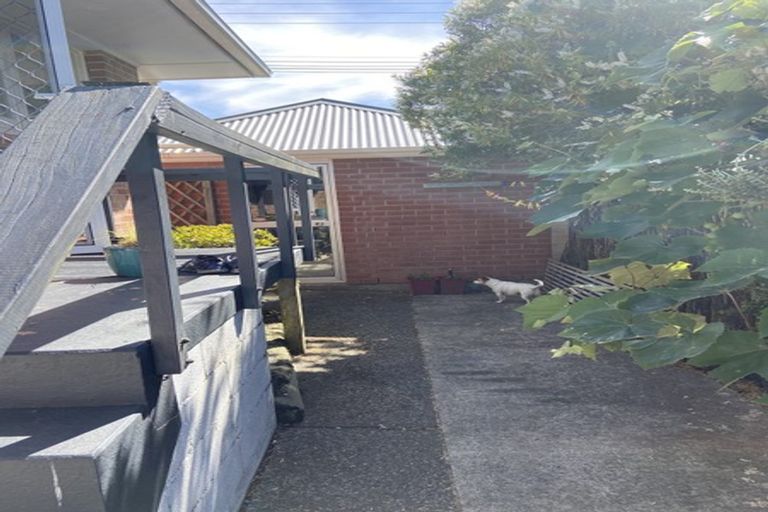 Photo of property in 1/43 Tramway Road, Beach Haven, Auckland, 0626