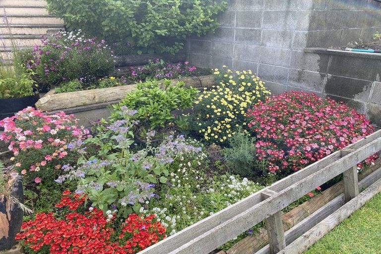 Photo of property in 100 Centennial Avenue, Waitara, 4320