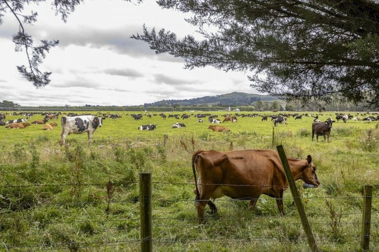 Photo of property in 247 Stubbs Road, Starvation Hill, Oxford, 7495
