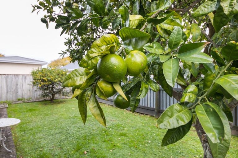 Photo of property in 2a Hendon Place, West End, Palmerston North, 4412