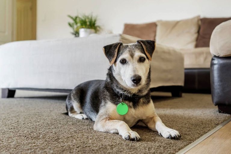 Photo of property in 36a Westerham Drive, Dannemora, Auckland, 2016