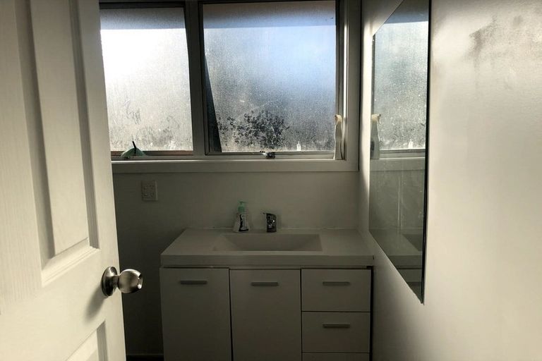 Photo of property in 19 Ryan Avenue, Chartwell, Hamilton, 3210