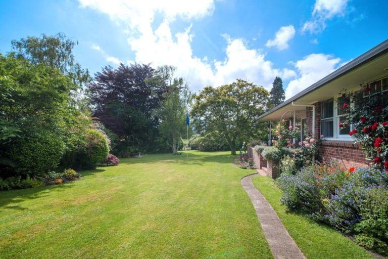Photo of property in 1 Springfield Road, Springfield, Rotorua, 3015