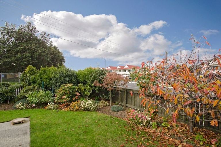 Photo of property in 28c Miro Street, Mount Maunganui, 3116