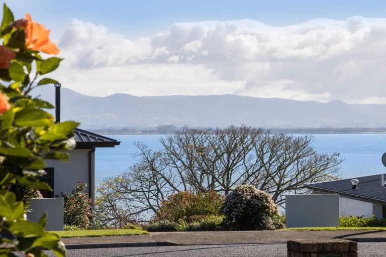 Photo of property in 39 Hamurana Road, Omokoroa, 3114