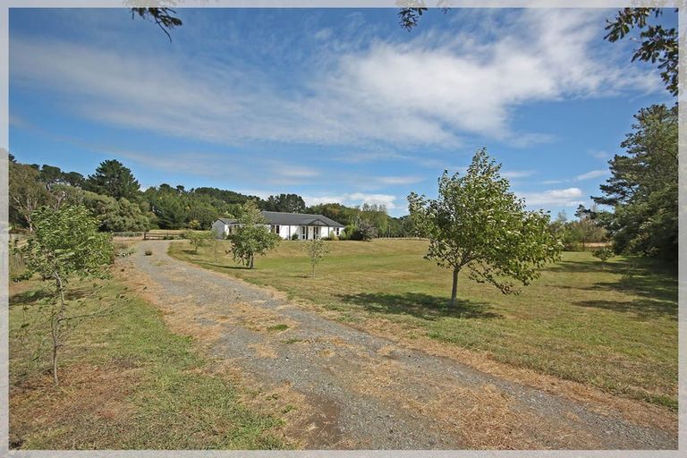 Photo of property in 450 Foxton Shannon Road, Foxton, 4893