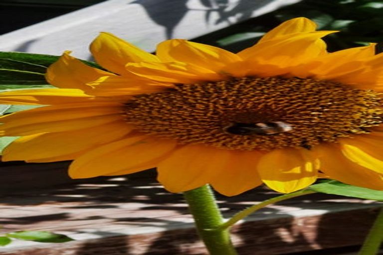 Photo of property in 31c Iwa Street, Mapua, 7005