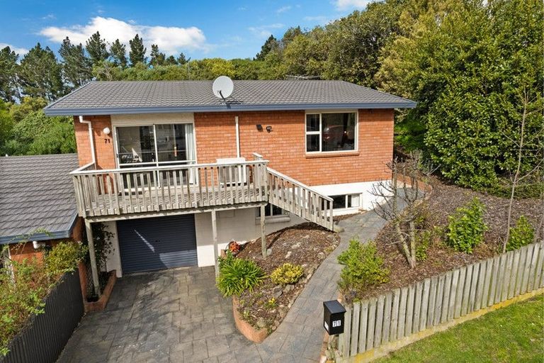 Photo of property in 71 Grosvenor Street, Kensington, Dunedin, 9011