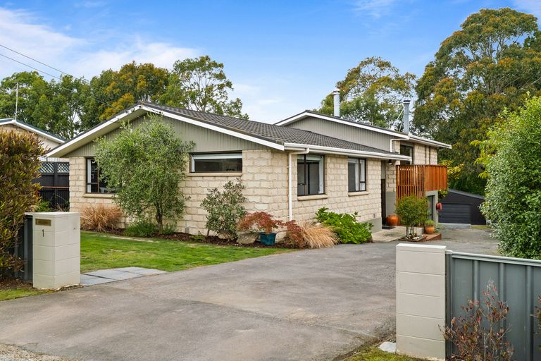 Photo of property in 1 Viscount Road, Waldronville, Dunedin, 9018