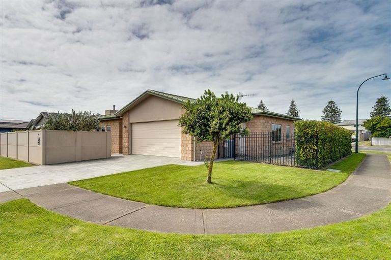 Photo of property in 117 Hunter Drive, Awatoto, Napier, 4110