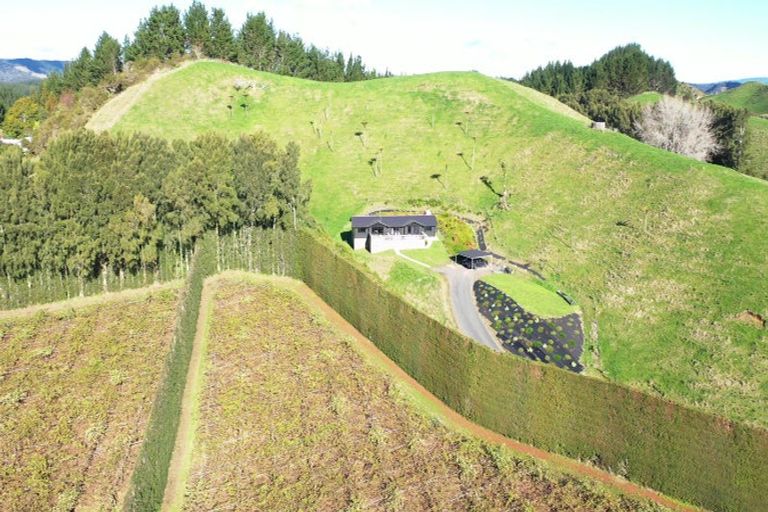 Photo of property in 809 Pikowai Road, Pikowai, Whakatane, 3194