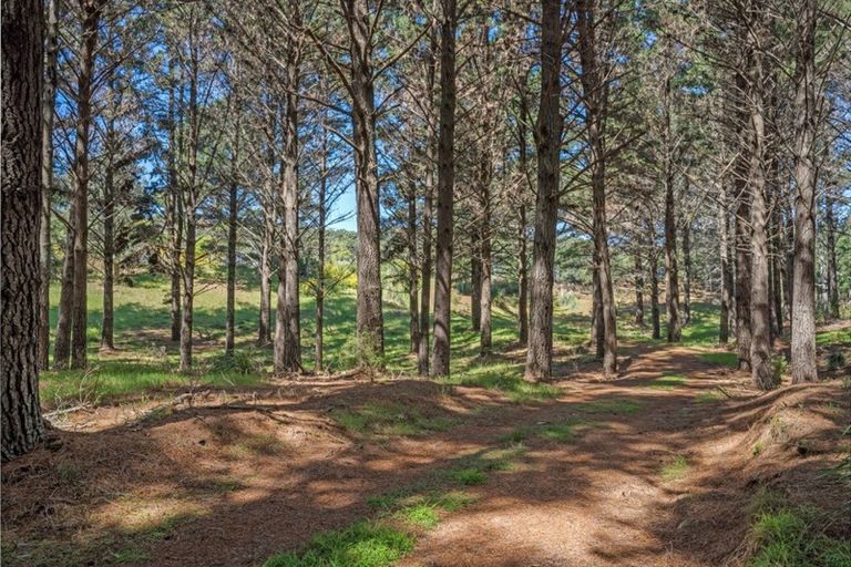 Photo of property in 28 Wahitapu Lane, Opoutere, Whangamata, 3691