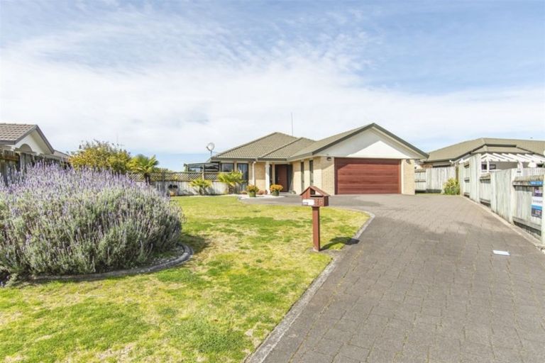 Photo of property in 25 Fahey Avenue, Mount Maunganui, 3116