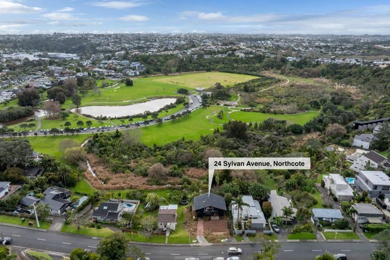 Photo of property in 24 Sylvan Avenue, Northcote, Auckland, 0627