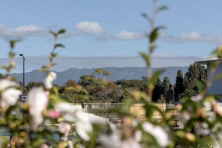 Photo of property in 3 Pip Way, Omokoroa, 3114