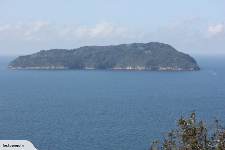 Photo of property in 14 Pacific Drive, Tairua, 3508