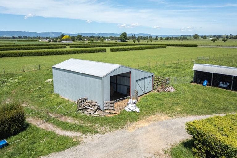 Photo of property in 5134 State Highway 29, Matamata, 3472