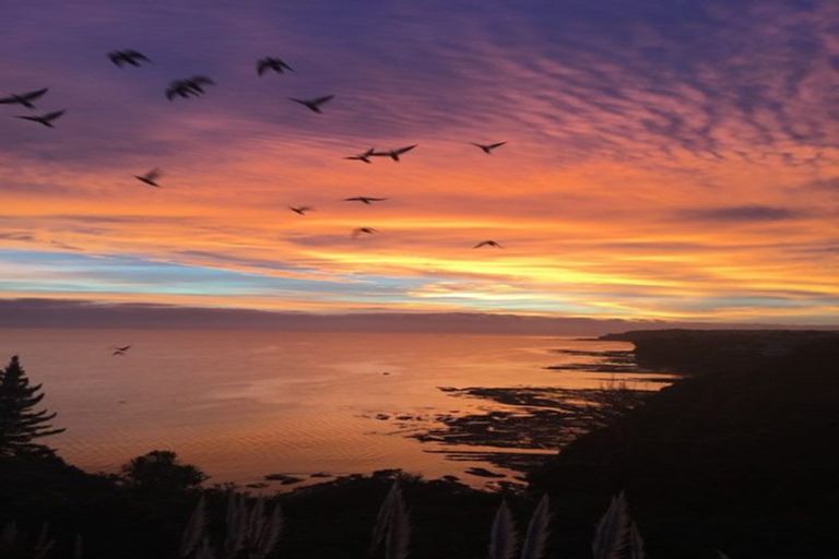 Photo of property in 21c Siesta Terrace, Gulf Harbour, Whangaparaoa, 0930