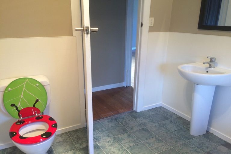 Photo of property in 16 Hinau Street, Maeroa, Hamilton, 3200