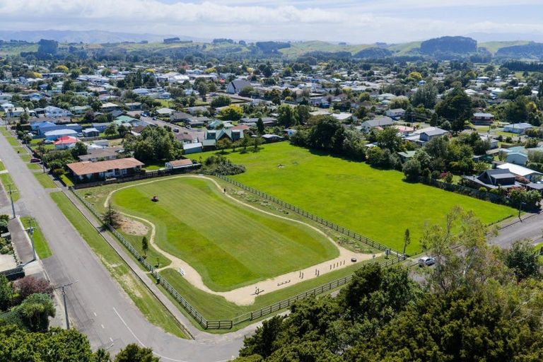 Photo of property in 6 Maire Street, Pahiatua, 4910