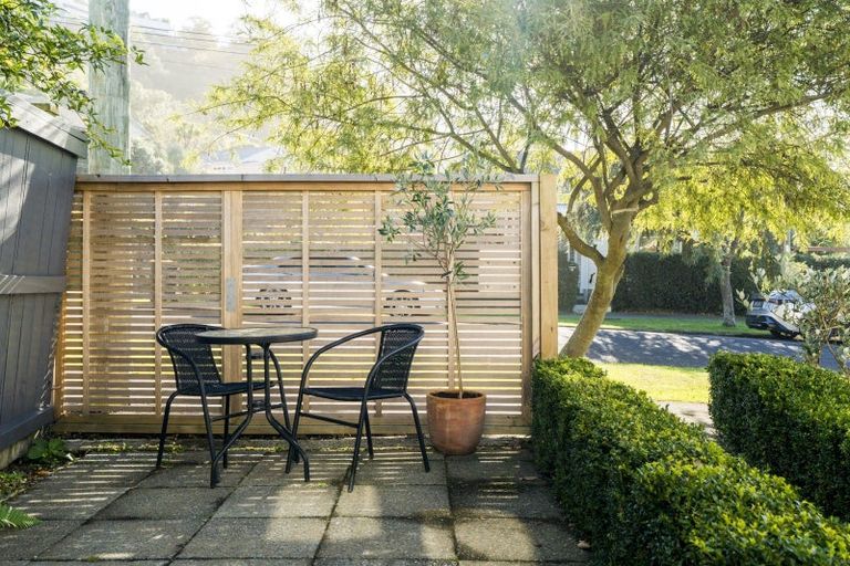 Photo of property in 6 Albert Street, Saint Clair, Dunedin, 9012