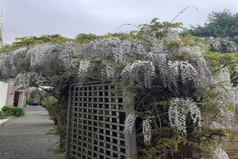 Photo of property in 12 Pohutukawa Crescent, Raumati Beach, Paraparaumu, 5032