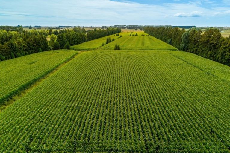 Photo of property in 76 Bell Road, Papamoa, 3187