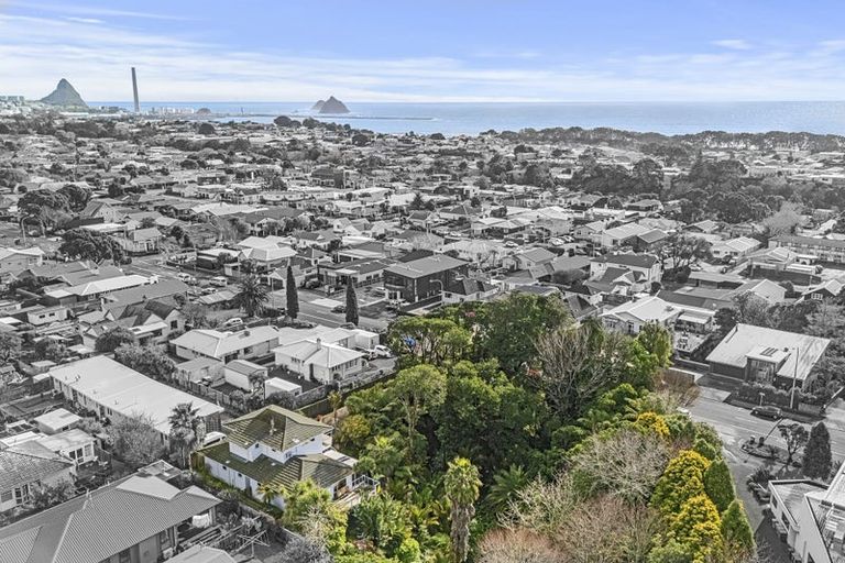 Photo of property in 105 Vivian Street, New Plymouth, 4310