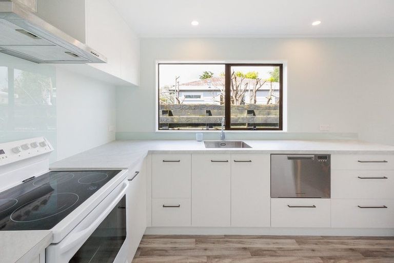 Photo of property in 31a Limbrick Street, Terrace End, Palmerston North, 4410