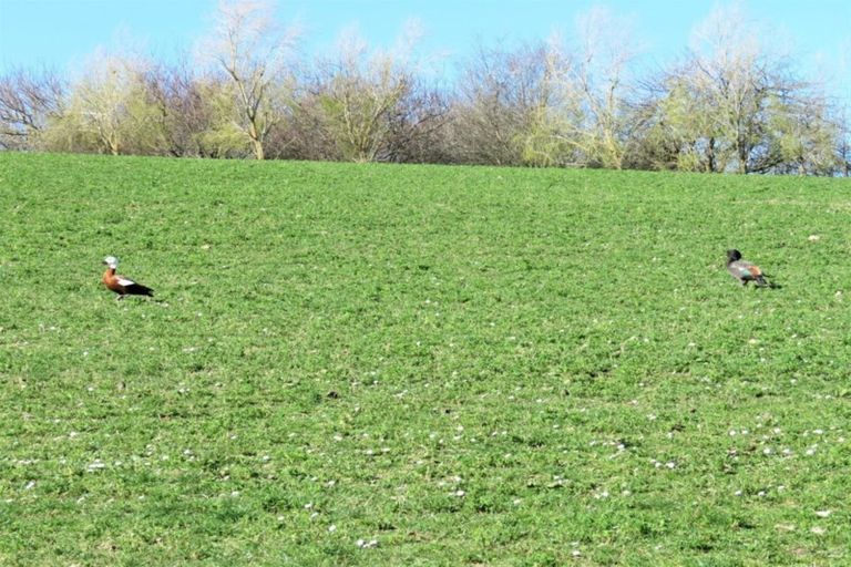 Photo of property in 27 District Road, Weston, Oamaru, 9401