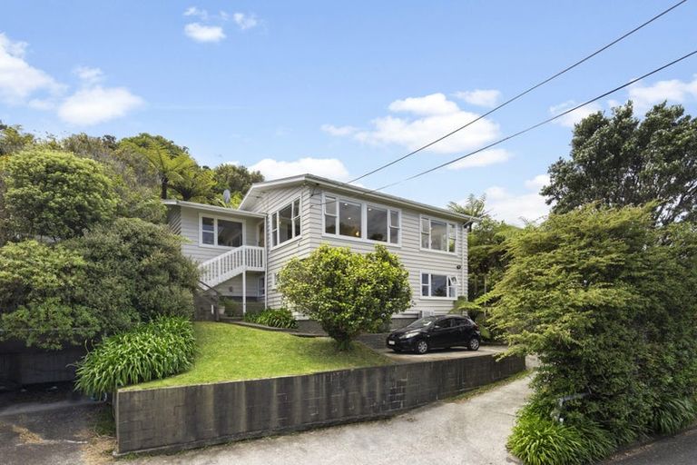 Photo of property in 55 Bedford Street, Northland, Wellington, 6012