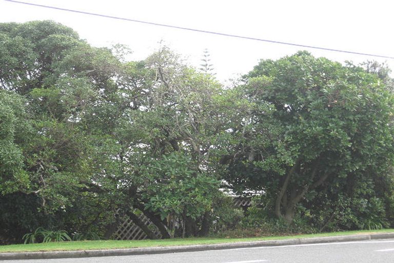 Photo of property in 213 Rosetta Road, Raumati South, Paraparaumu, 5032