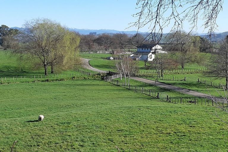 Photo of property in 464 Masterton-castlepoint Road, Te Ore Ore, Masterton, 5886