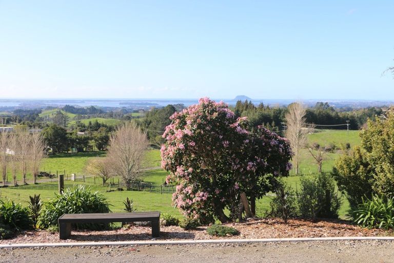 Photo of property in 649a Esdaile Road, Whakamarama, Tauranga, 3180