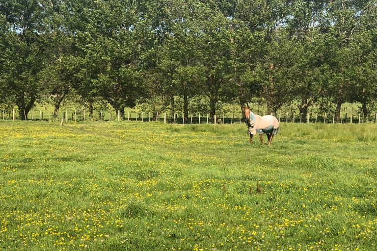 Photo of property in 51 Edgerley Road, Kaipara Flats, Warkworth, 0981