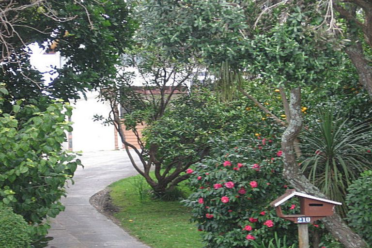 Photo of property in 210 Valley Road, Mount Maunganui, 3116