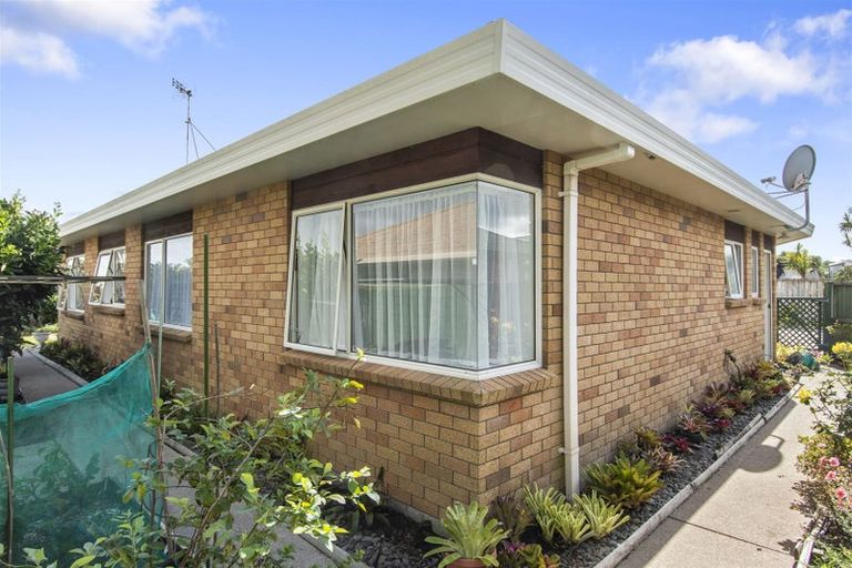 Photo of property in 164b Gloucester Road, Mount Maunganui, 3116
