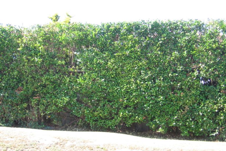 Photo of property in 113 Churchill Road, Murrays Bay, Auckland, 0630