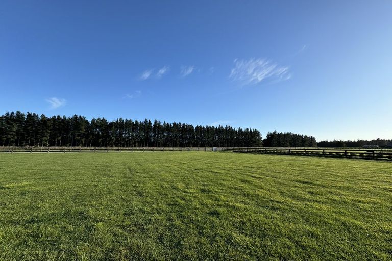 Photo of property in 13 Beal Place, Swannanoa, 7692