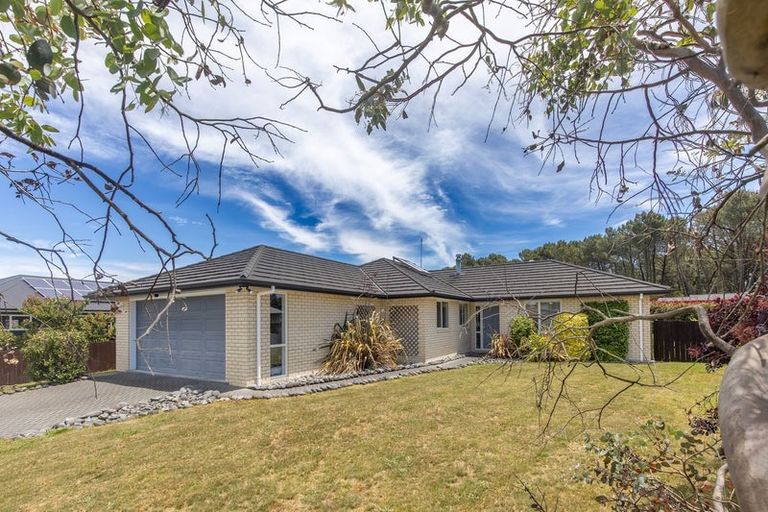 Photo of property in 60 John Norrie Place, Motuoapa, Turangi, 3382