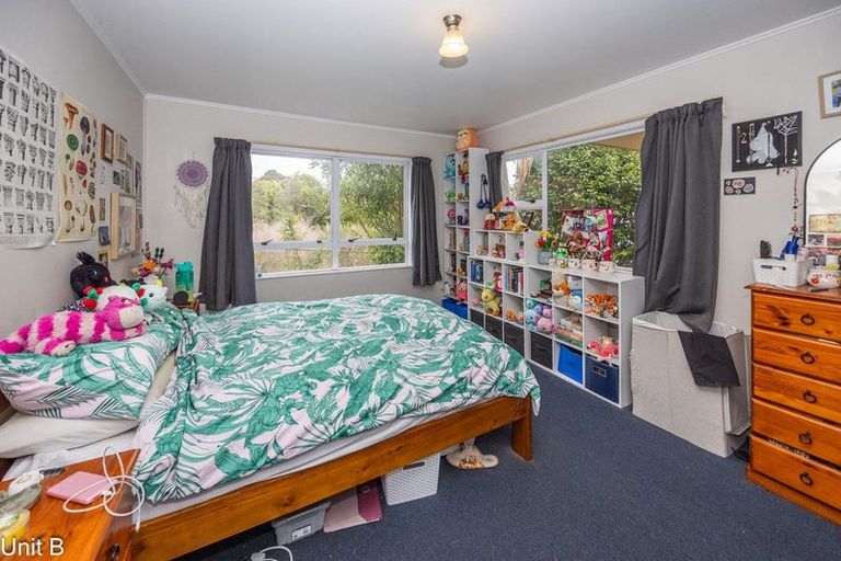 Photo of property in 103 Aurora Terrace, Hillcrest, Hamilton, 3216