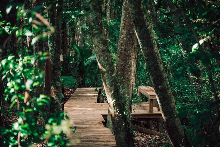 Photo of property in 336 Puhipuhi Road, Whakapara, Hikurangi, 0182