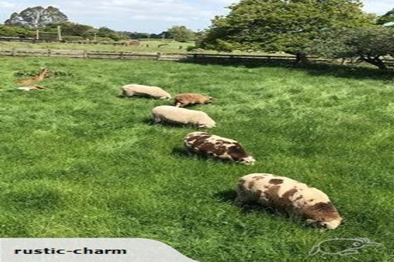 Photo of property in 85 Tarr Road, Ohaupo, 3881