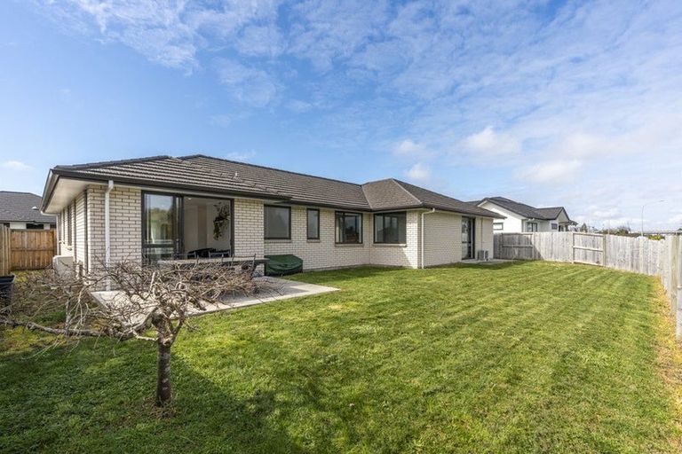 Photo of property in 52 Maggie Place, Chartwell, Hamilton, 3210