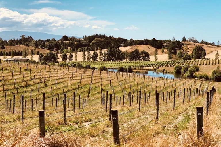 Photo of property in 49 Aranui Road, Mapua, 7005