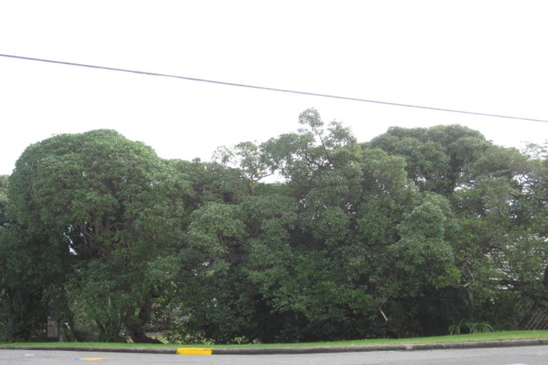 Photo of property in 213 Rosetta Road, Raumati South, Paraparaumu, 5032