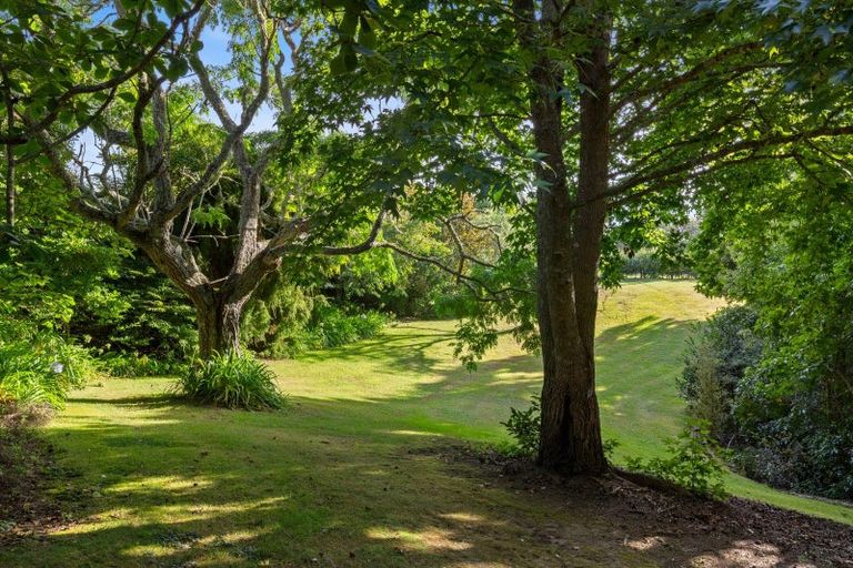 Photo of property in 180 Mcnicol Road, Clevedon, Papakura, 2585