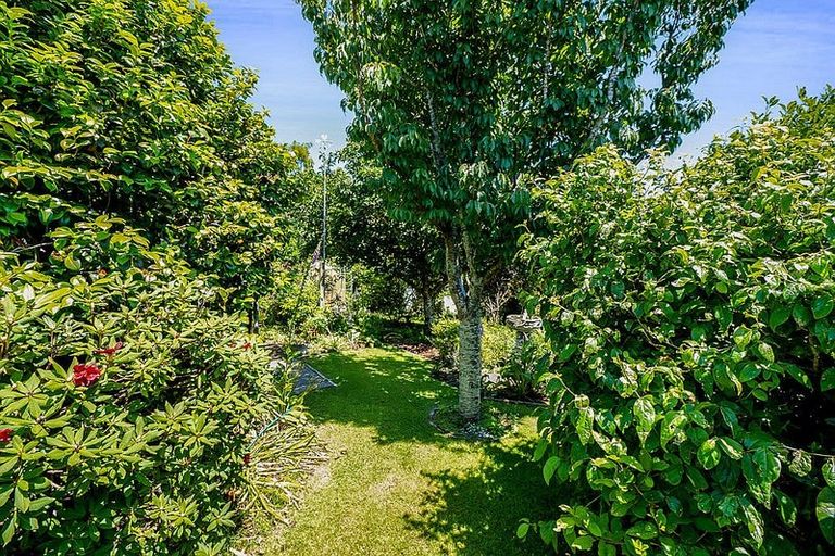 Photo of property in 33 Rogan Street, New Plymouth, 4310